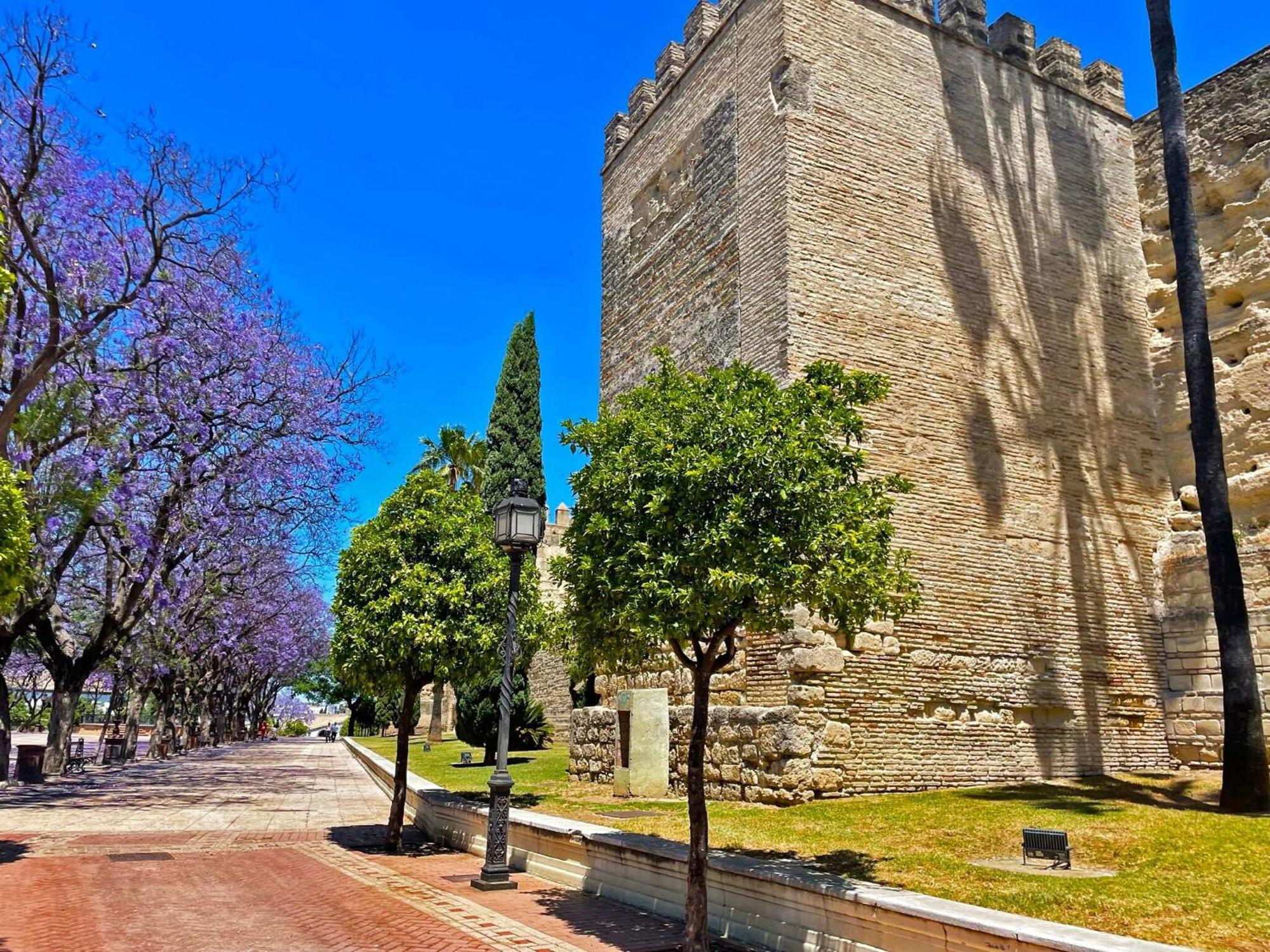 Apartamento Tio Pepe - Ole Solutions Jerez de la Frontera Exteriör bild